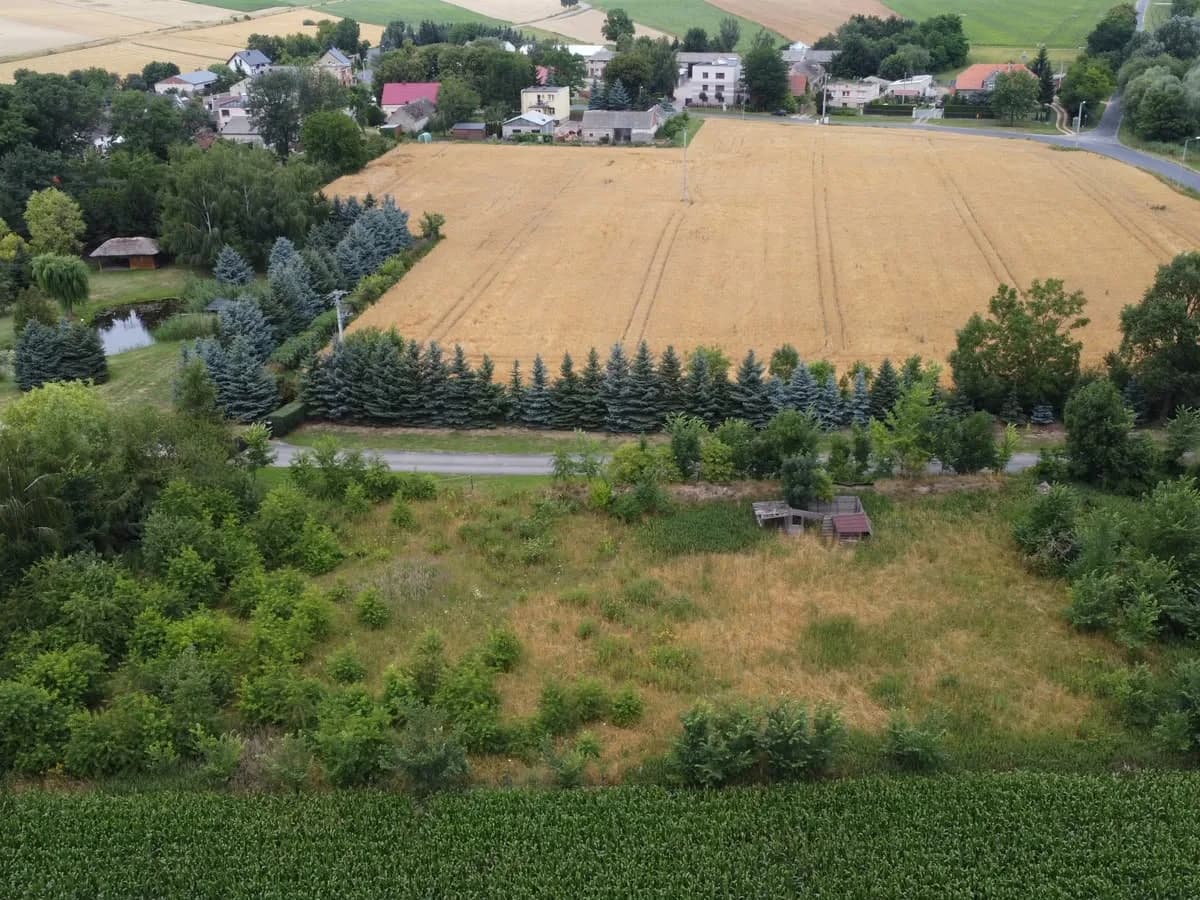 Widok działki Mączniki